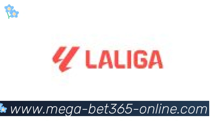 bet365在线体育合作伙伴