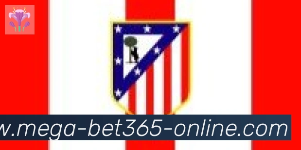 bet365在线体育合作伙伴