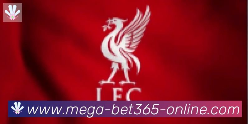 bet365在线体育合作伙伴